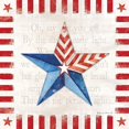 thumbnail image 3 of Marrott, Stephanie 15x15 Black Modern Framed Museum Art Print Titled - Freedon Star II, 3 of 5