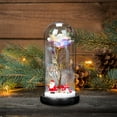 thumbnail image 1 of Pompotops Christmas Decorations Outdoor Indoor,Christmas Decorations For Home,Christmas Decorations For Tree,Christmas Gift Glass Cover Christmas Tree Cedar Elk Decoration LED Lighting Decoration, 1 of 4