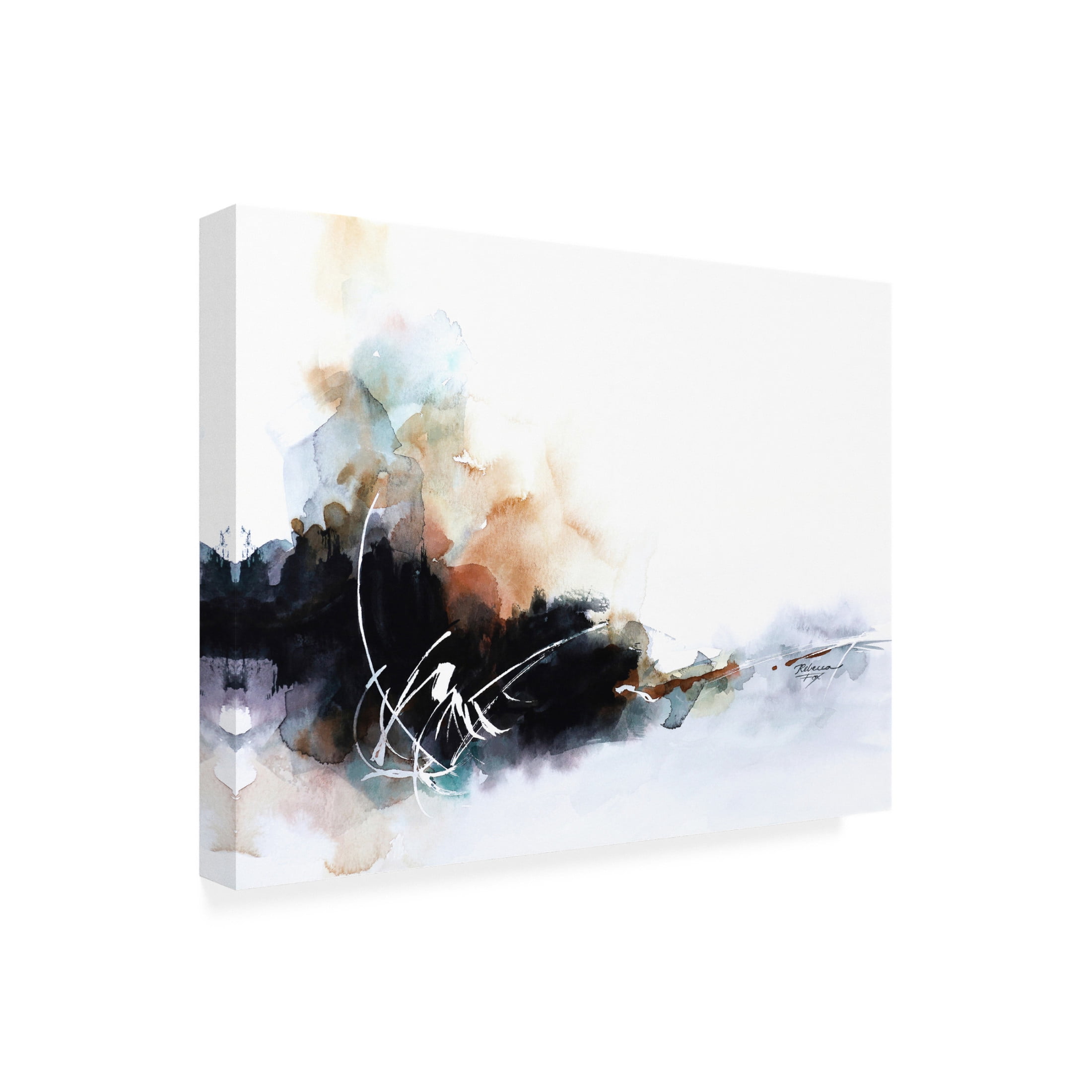 Canvas Wall Art - Rebecca Fox 'Flash of White' Wall Art for Living Room, Bedroom, or Office Décor by Trademark Fine Art - 47 x 35 Inches