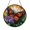 Acrylic 3.5 Inch, variant on Lovely Monarch Butterfly Purple Aster Suncatcher Ornament Item Sun