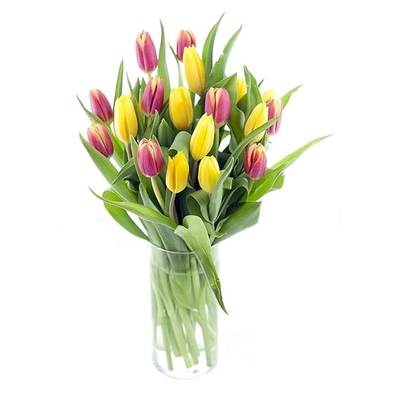 KaBloom :10 Orange Tulips, 10 Yellow Tulips in Vase, Next-Day Delivery, Gift for Every Occasion.