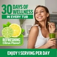 thumbnail image 6 of Force Factor Smarter Greens Daily Wellness Powder, Greens Powder with Probiotics for Bloating, Gut Health, Digestion & Energy, Citrus, 30 Servings, 6 of 12