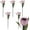 Pink, variant on 6Pcs Tulip Solar Garden Lights Tulips Solar Outdoor Lights Decorative LED Solar Flower Lights Waterproof Solar Stake Lights Multi Color Landscape Lights for Garden, Patio, Backyard, Lawn Decoration