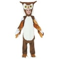 thumbnail image 1 of Child Owl Costume, 1 of 1