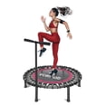 thumbnail image 1 of Trampolín de Ejercicio Aeróbico ecomlab Plegable con Barra Auxiliar de Agarre, 1 of 9