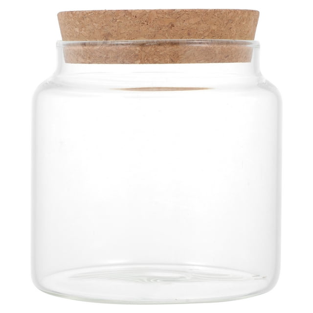 Shisuyan Bocaux de Rangement en Verre avec Couvercles Transparents 1 Pcs 4.1*3.9*3.9 Po