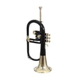 thumbnail image 2 of SUMMER SALE 2022 Flugel Horn 3 Valve Black Bb Pitch With Free Hard Case & MP, 2 of 3