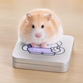 thumbnail image 4 of Reusable Cooling Ice Pad for Small Pets,Freezable Cooling Insert for Hamsters,Guinea Pigs,Chinchillas,Rabbits and Small Animal Habitats, 4 of 6