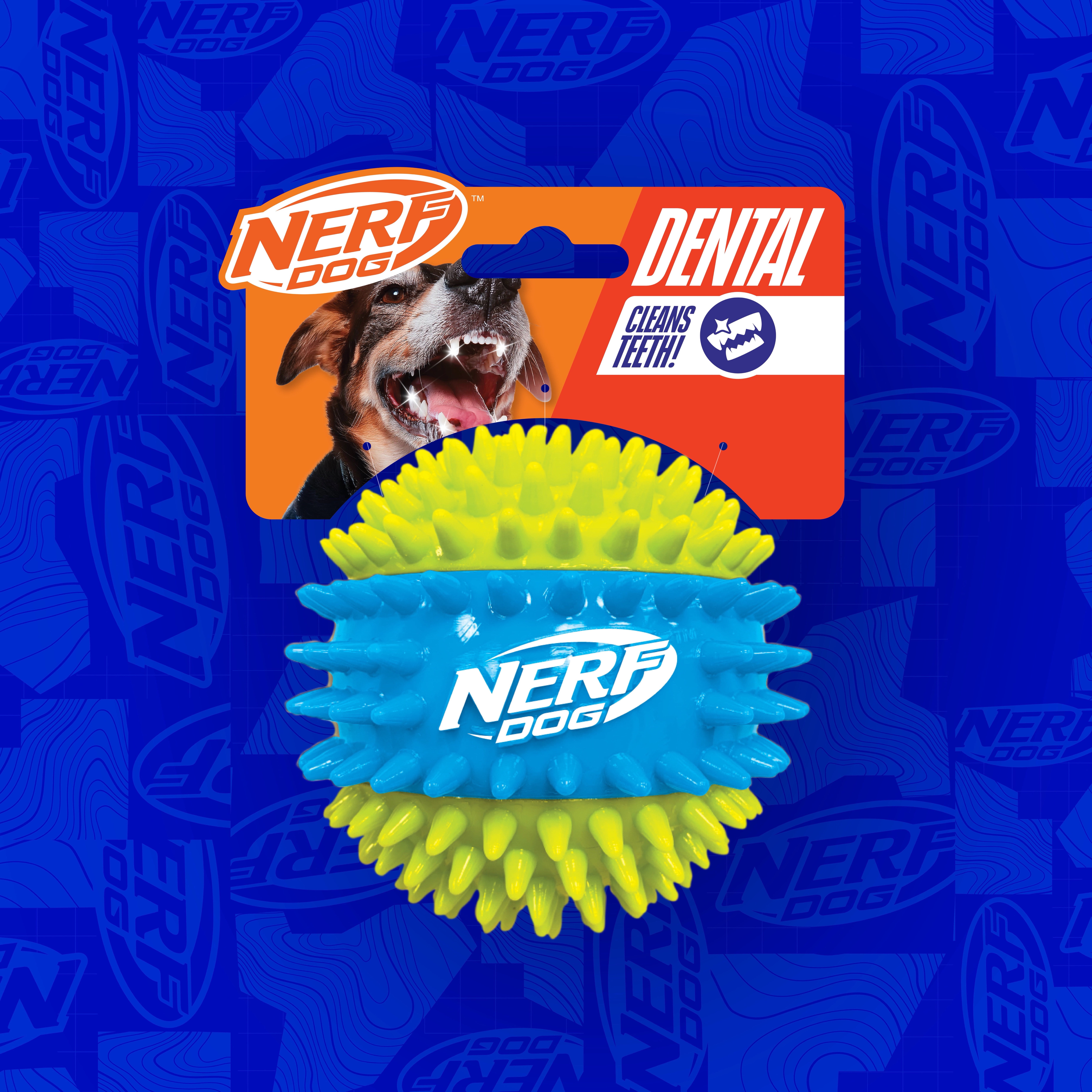 Nerf Dog TPR Spike Squeak Ball for Dogs, Green/Blue, 3.7 inch