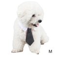thumbnail image 1 of Collier pour Animaux de Compagnie Mignon Mode Simple Coton Chat Cravate Cravate pour Chaton, 1 of 10