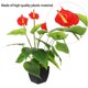 thumbnail image 5 of ADDHAT 1Ud Ornamentación Con Planta Artificial Anthurium Bonsái En Maceta Para Espacios Modernos, 5 of 6
