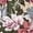 Apricot, variant on Women's Floral Elegant Pleated Midi Print Batwing Sleeve Tie Waist Dress for Daily Wear Pink S