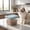 Blue, variant on Mini Pet Food Storage Container, with Sealed Lid, Microwave Freezer Safe Leakproof Fresh-Keeping Bowl for Cat Dog Wet Food Treats, Portable Small Storage Box for Fruit Snack Lunch Portion