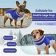 thumbnail image 4 of Abrigo para perros AOFITEE, impermeable, reflectante, de invierno, azul para perros, 4 of 4