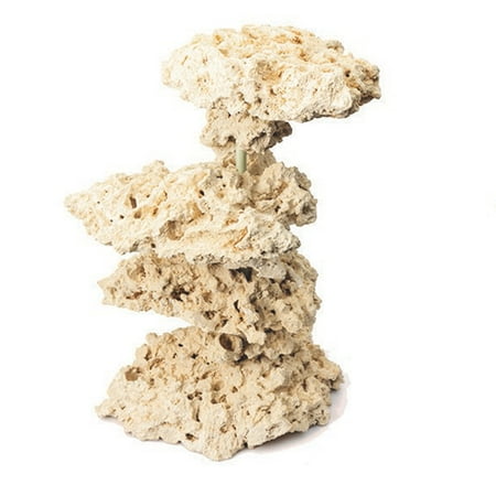 CaribSea South Seas Coral Tree ACS00362