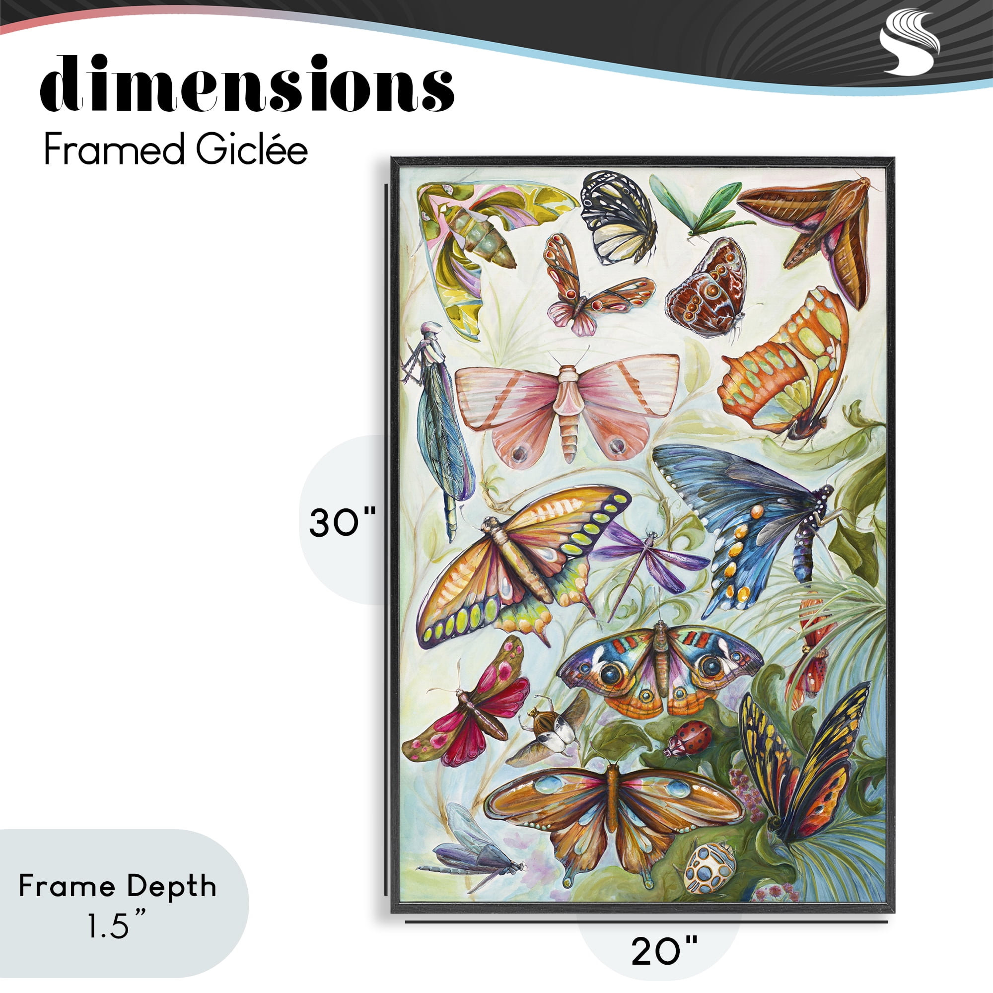 Stupell Industries Colorful Butterfly Conservatory Black Framed Giclee Art, design by Diannart