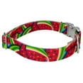 thumbnail image 4 of Country Brook Petz® Premium Summer Melon Dog Collar and Leash, Large, 4 of 6