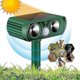 thumbnail image 3 of ZHAOCHENG Repelente ultrasónico para gatos, repelente solar de animales, repelente de pájaros, repelente ultrasónico de animales (1 unidad, verde), 3 of 5