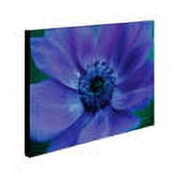 Trademark Fine Art 'Beautiful Anemone' Canvas Art by Kathy Yates