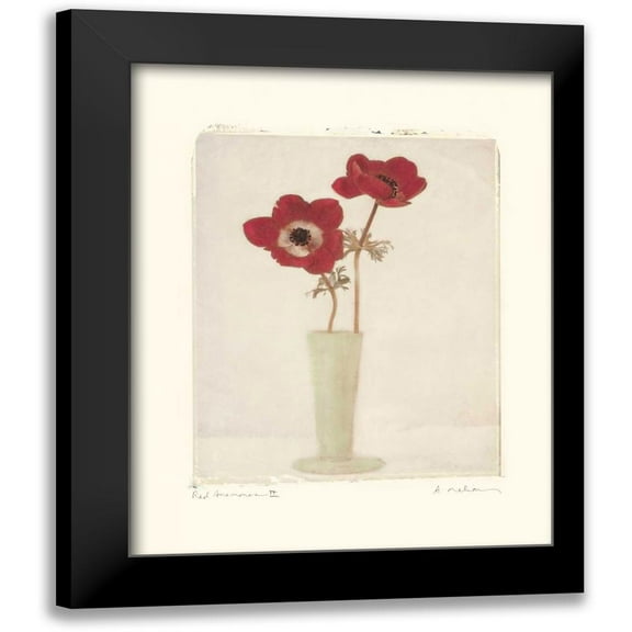 Melious, Amy 12x14 Black Modern Framed Museum Art Print Titled - Red Anemones II