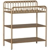Little Seeds Monarch Hill Ivy Metal Changing Table, Gold