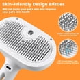 thumbnail image 6 of Xekoro 3 in 1 Cat Steam Brush, Pet Spray Hair Removal Comb for Shedding & Grooming, Water Brush for Cats Dogs Small Animals Long Short Haired with One-Click Release Button, 6 of 9