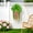 A, variant on Artificial Hanging Fern with Flowers, Green Simulated Wall Mounted Persian Leaf Strip, 29.53 Inch Plastic Faux Plant Decoration