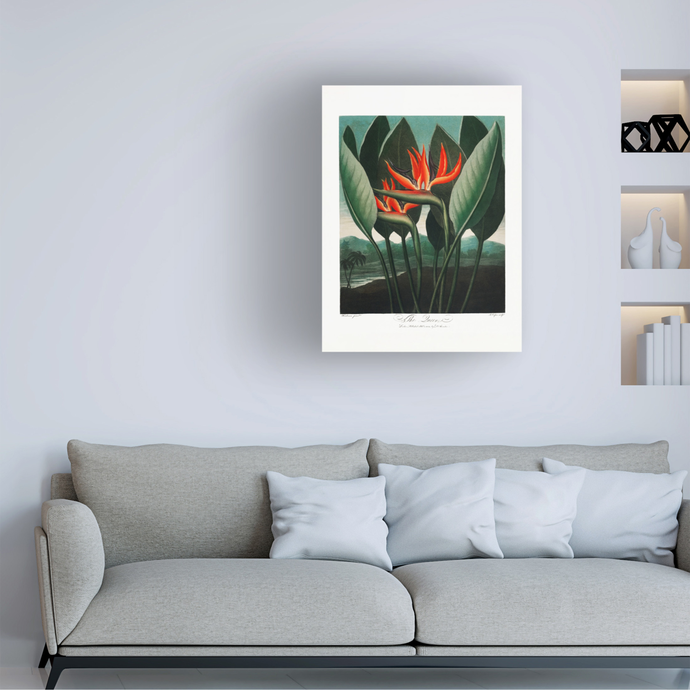 Trademark Fine Art Pictufy  The QueenaPlant from The Temple of Flora 1807 Canvas Wall Art