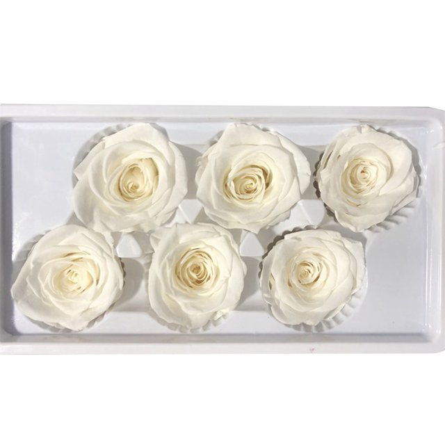 6 Pcs Fleurs Artificielles Élégantes Non Fanées Fausses Roses de la Saint-Valentin