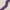 Ivory/Purple, variant on SAFAVIEH Cambridge Liam Geometric Wool Area Rug, Ivory/Purple, 6' x 6' Round