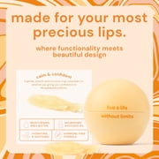 Bodyotics Vulva Balm – Fragrance-Free Vaginal Moisturizer for Dryness, Itching & Discomfort – No Hormones – Soothing Moisture Balm for Silky External Vulvar Area – 2oz / 59ml