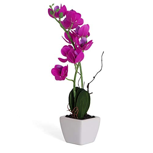 Bornbridge Artificial Orchid - Fake Orchid Plant with Real Touch Flowers - Faux Orchid with Long Stem Artificial Flowers - Potted Orchid/Plastic Orchid Fake Flowers - (Medium, Violet Orchid)