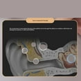 thumbnail image 4 of Altavoz de Almohada para Dormir, 5.4 Debajo del Altavoz de Almohada Auticó Cutdowm para viajar, 4 of 7
