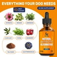 Antibiotic for Dogs AIF4 Dog Antibiotic Natural Antibiotics for Dogs
