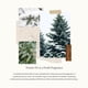 thumbnail image 3 of Thymes Frasier Fir Home Fragrance Mist - Spray perfumado para habitación con fragancia fresca para el hogar - Ambientador para dormitorio y baño (3 oz), 3 of 9