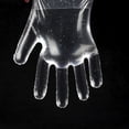 thumbnail image 5 of 200 PCS PE Clear Disposable Gloves Plastic Gloves Large Poly Gloves Hair Coloring Food Service Gloves for Cooking Kitchen Cleaning Food Handling Food Prep Gloves Disposable Free Gloves, 5 of 8