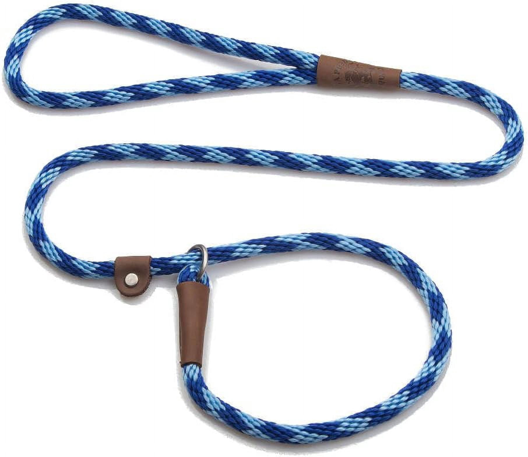 Mendota Pet Slip Leash - Dog Lead and Collar Combo - - Sapphire, 3/8 in x 6 ft - for Small/Medium Breeds