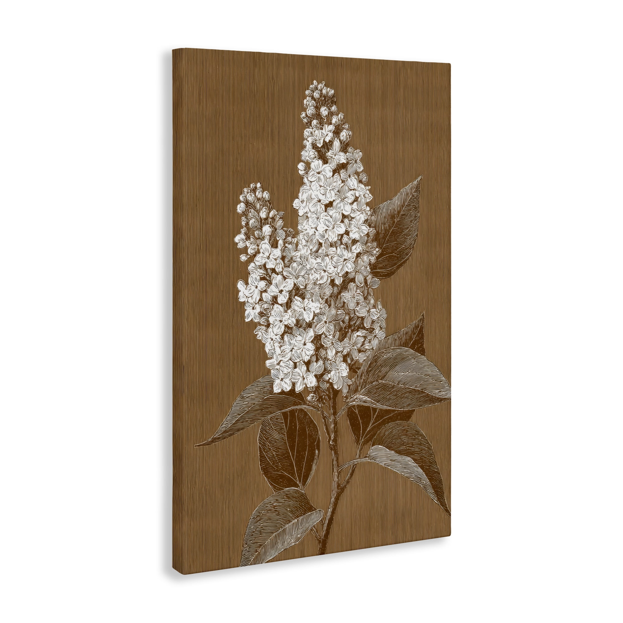 Stupell Industries Vintage Striped Lilac Study Canvas Wall Art, design by Petal Prints Design