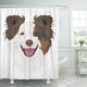 thumbnail image 1 of ABPHQTO Cheeky Happy Dogs Face Border Collie Puppy Head Good Cortina de ducha 160x180 cm, 1 of 1