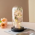 thumbnail image 2 of Valentines Day Gifts For Girlfriend & Wife, Girlfriend Presents,Cool Gifts To Get Your Girlfriend,Preserved Rose Night Light in Glass/ Dome,Valentine's Day Decorations, 2 of 4