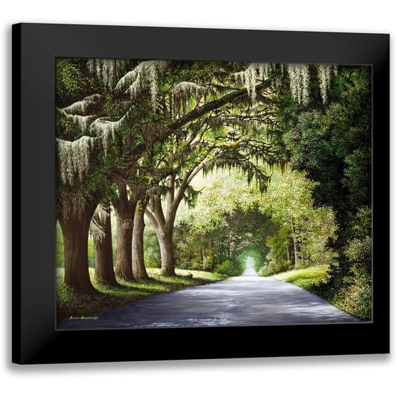 Nawrocke, Bruce 13x12 Black Modern Framed Museum Art Print Titled - Down The Rabbit Hole