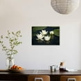 thumbnail image 5 of Fragrant Water Lily Nymphaea Odorata Flowers on Lake Skadar, Lake Skadar Np, Montenegro, May 2008, Botanical Scenic Stretched Canvas Wall Art by Radisics Sold by ArtCom, 5 of 5