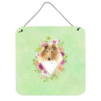 Carolines Treasures CK4376DS66 Collie Green Flowers Wall or Door Hanging Prints 6x6 multicolor