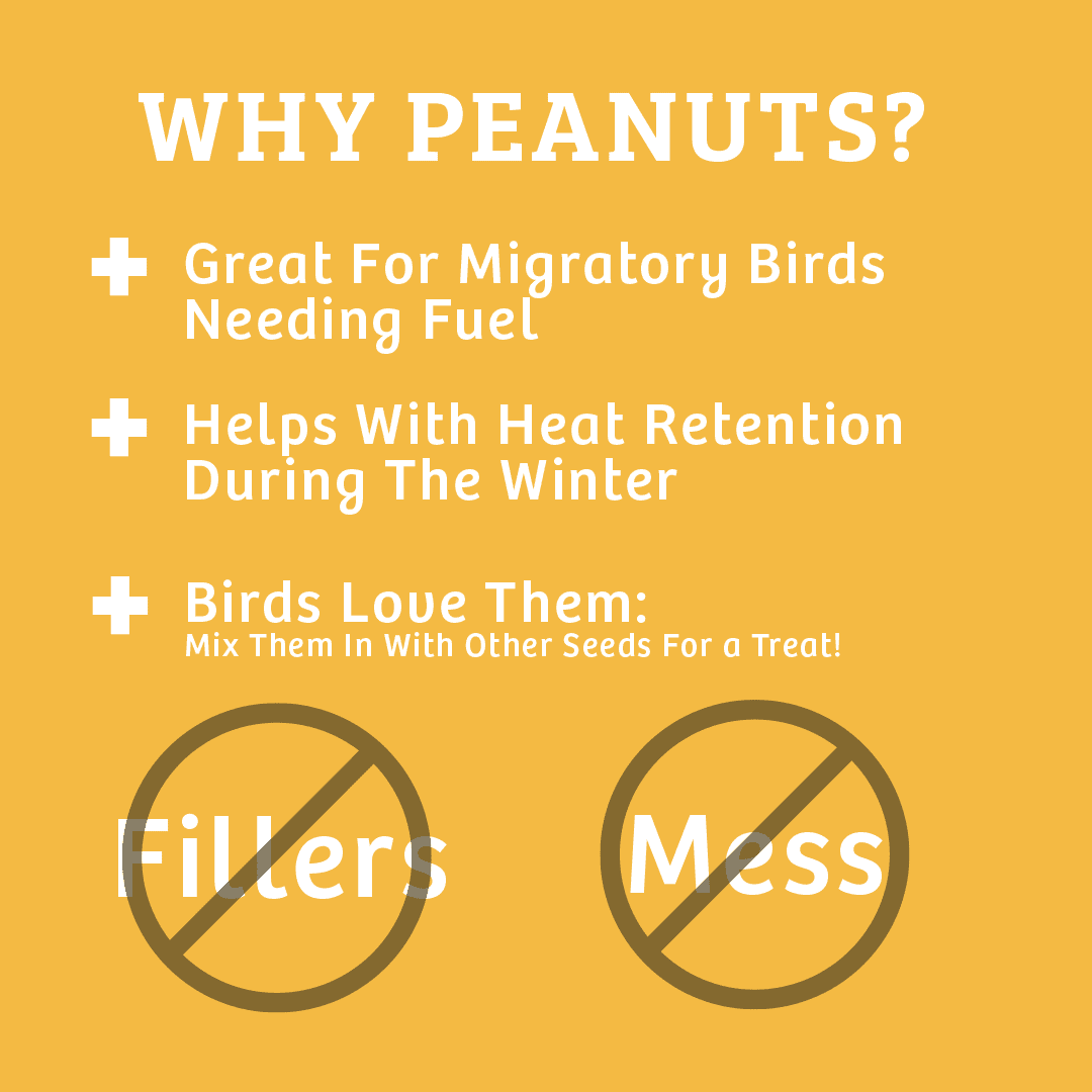 Birds Choice Shelled Peanuts - 10 lbs.