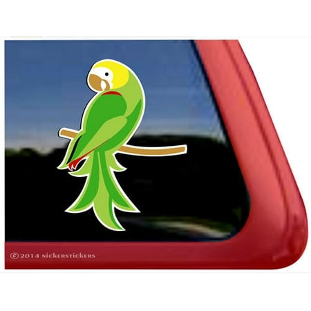 Yellow Headed Amazon Parrot High Quality Vinyl Pet Bird Window (Best Amazon Parrot For Pet)