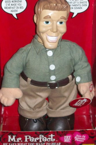 mr perfect doll