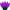 Purple, variant on Wintergreen Lighting C6 Cool White Christmas Lights LED String Lights, Set of 70 Lights on Green Wire, 24’