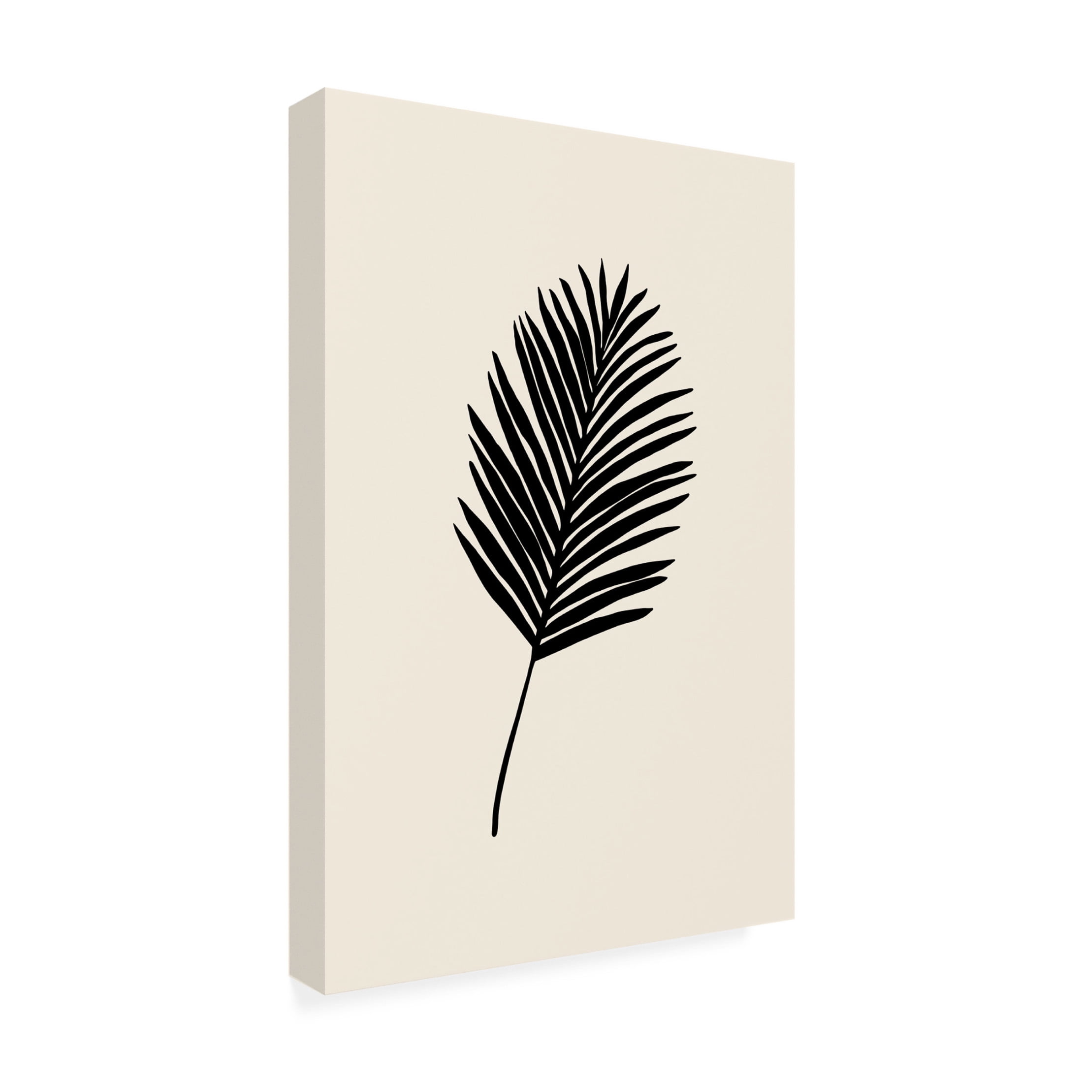 Canvas Wall Art - Pictufy Studio 'Black Palm' Wall Art for Living Room, Bedroom, or Office Décor by Trademark Fine Art - 12 x 19 Inches
