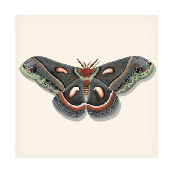 Canvas Wall Art - Michael Willett 'Watercolor Moths III' Wall Art for Living Room, Bedroom, or Office Décor by Trademark Fine Art - 14 x 14 Inches