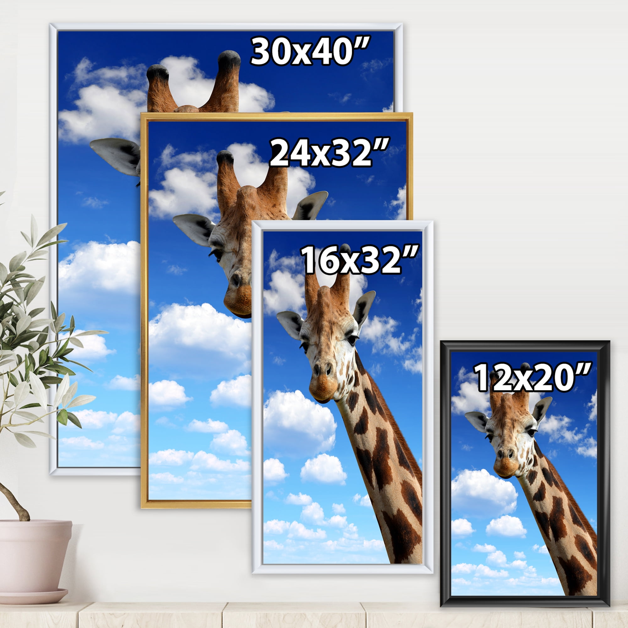 Designart 'A Giraffe On A Blue Sky Portrait' Farmhouse Framed Canvas Wall Art Print
